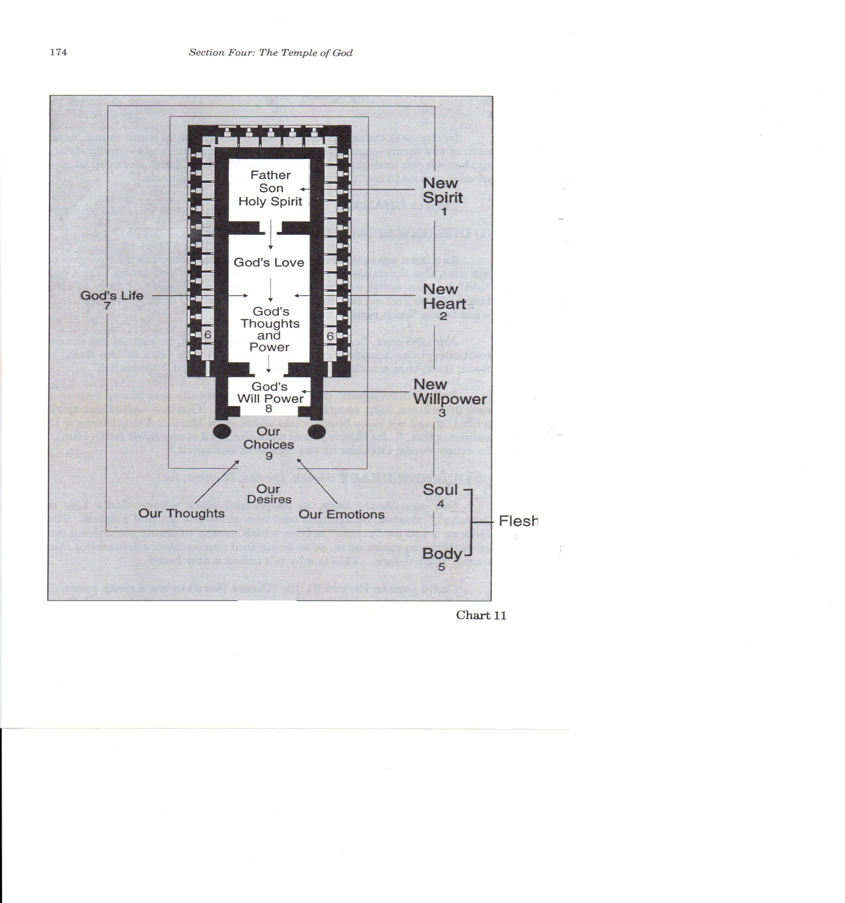 THE TEMPLE BLUEPRINT – A Lamp Unto My Feet
